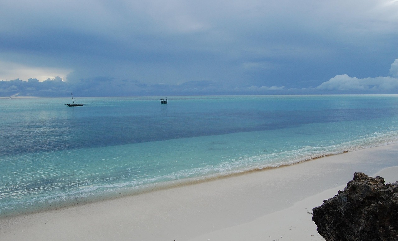 DAY TRIP TO KIZIMKAZI DOLPHIN VIEW POINT