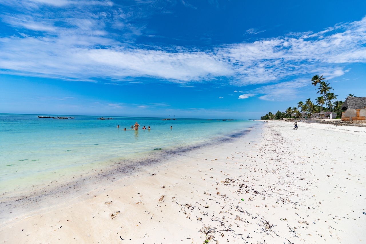 FULL DAY TRIP – NAKUPENDA SANDBANK, PRISON ISLAND AND STONE TOWN TOUR