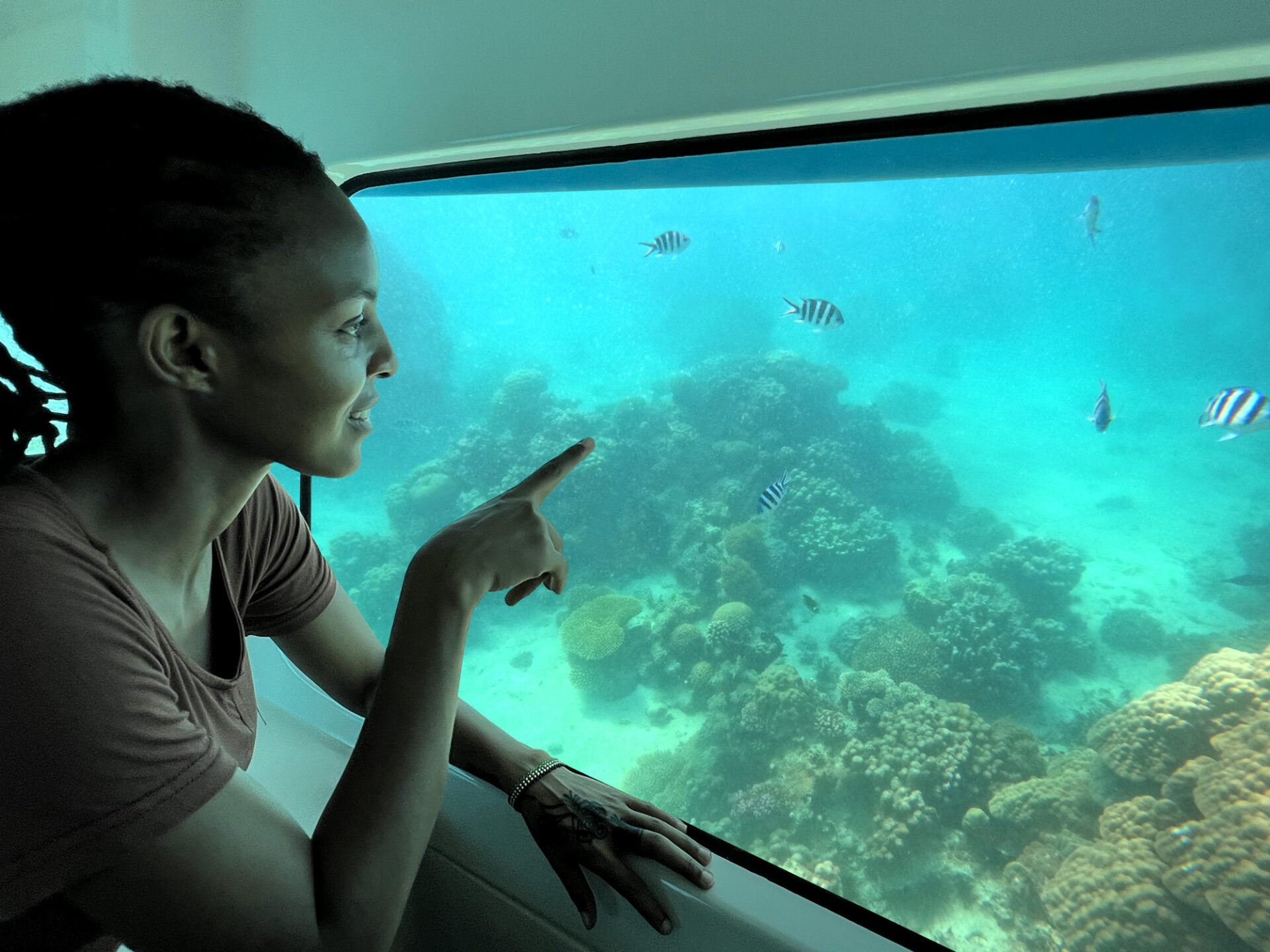Submarine Tours