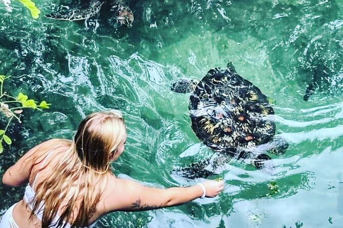 SWIMMING WITH TURTLES AT BARAKA AQUARIUM AND SUNSET CRUISING AT KENDWA BEACH